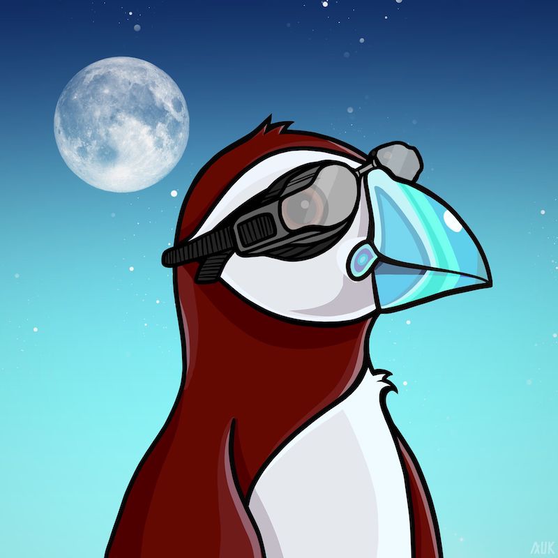 Poppin Puffins #4581